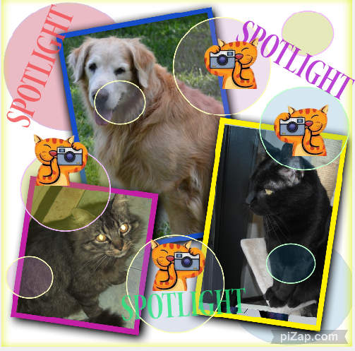 Dandavat of the purujit1912 family