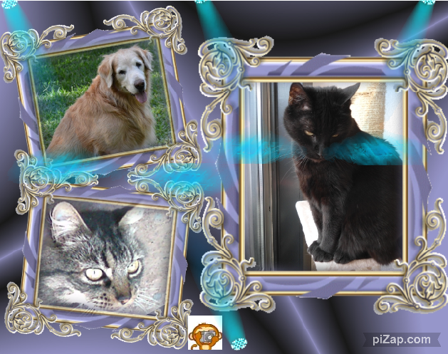 Dandavat of the purujit1912 family