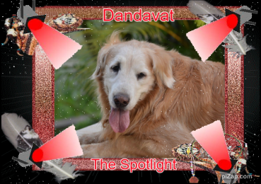 Dandavat of the purujit1912 family