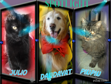 Dandavat of the purujit1912 family