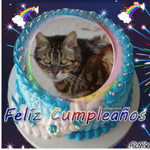 purujit1912 uploaded   5  day/s  ago