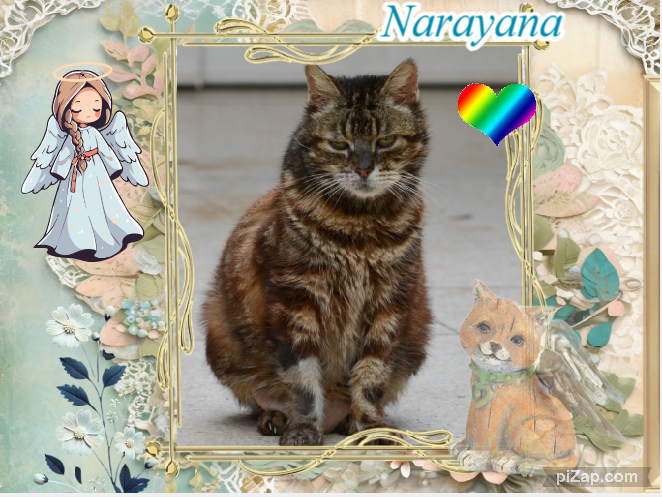 Narayana of the purujit1912 family