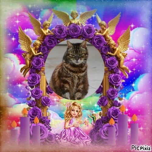 Narayana of the purujit1912 family