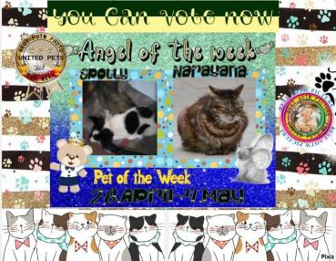 Narayana of the purujit1912 family