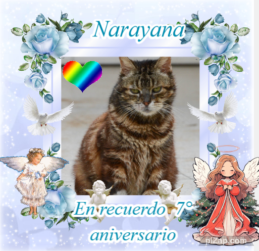 Narayana of the purujit1912 family