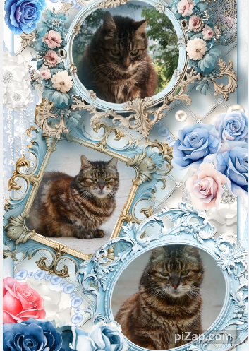 Narayana of the purujit1912 family