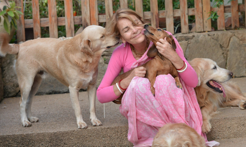 purujit1912 uploaded   6 year/s ago