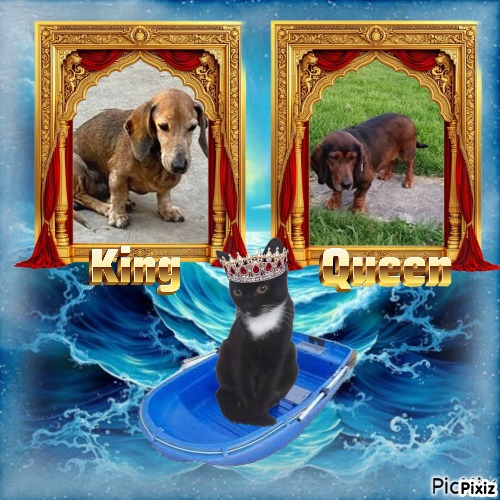 Spike of the purujit1912 family