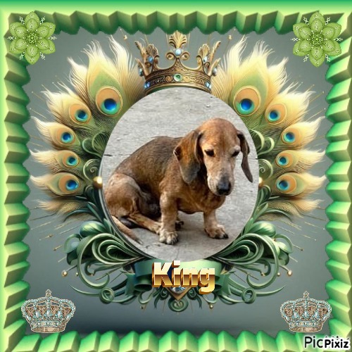 Spike of the purujit1912 family