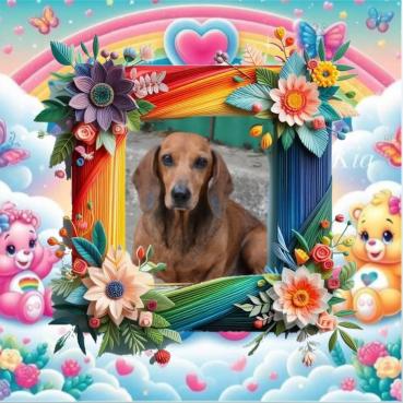 Spike of the purujit1912 family