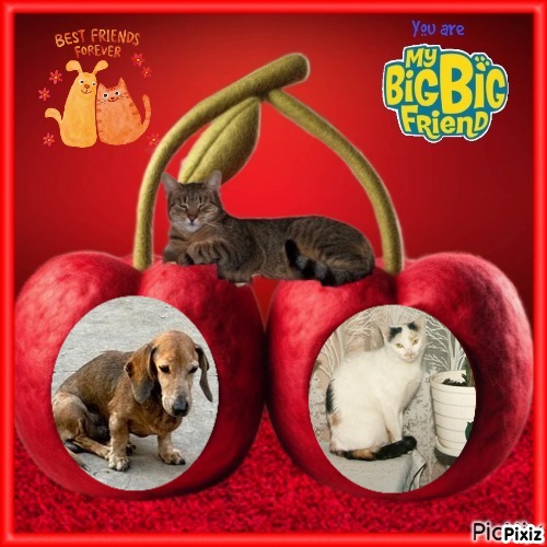 Spike of the purujit1912 family