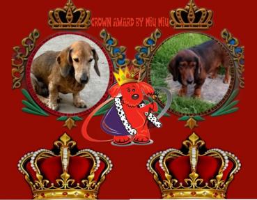 Spike of the purujit1912 family