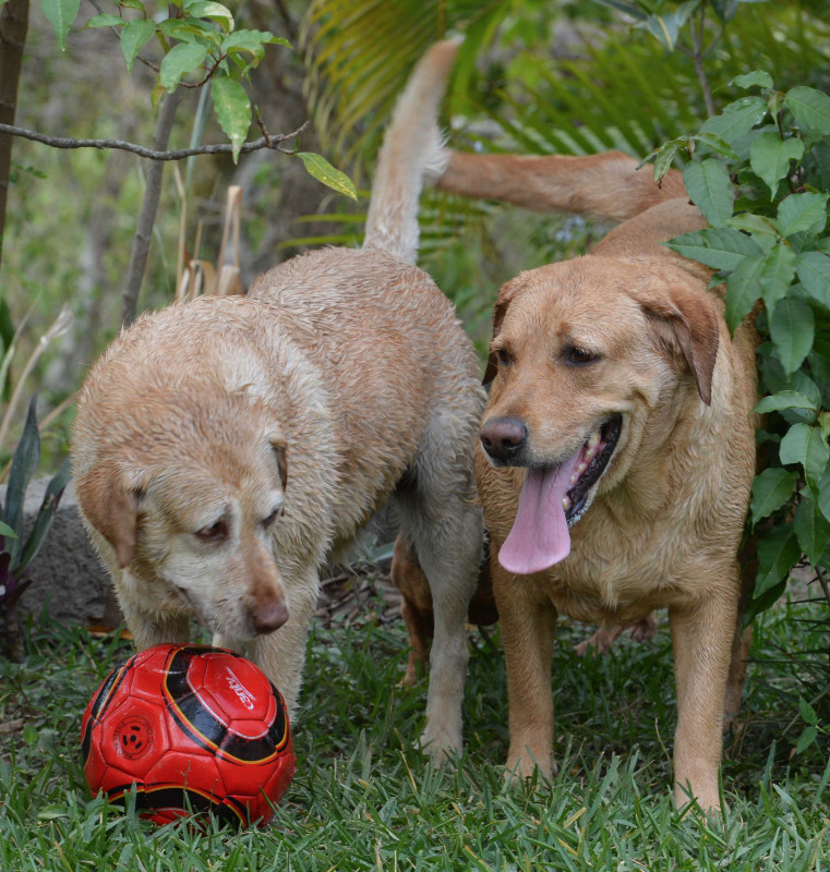 purujit1912 uploaded   6 year/s ago