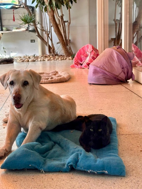 purujit1912 uploaded   1 year/s ago