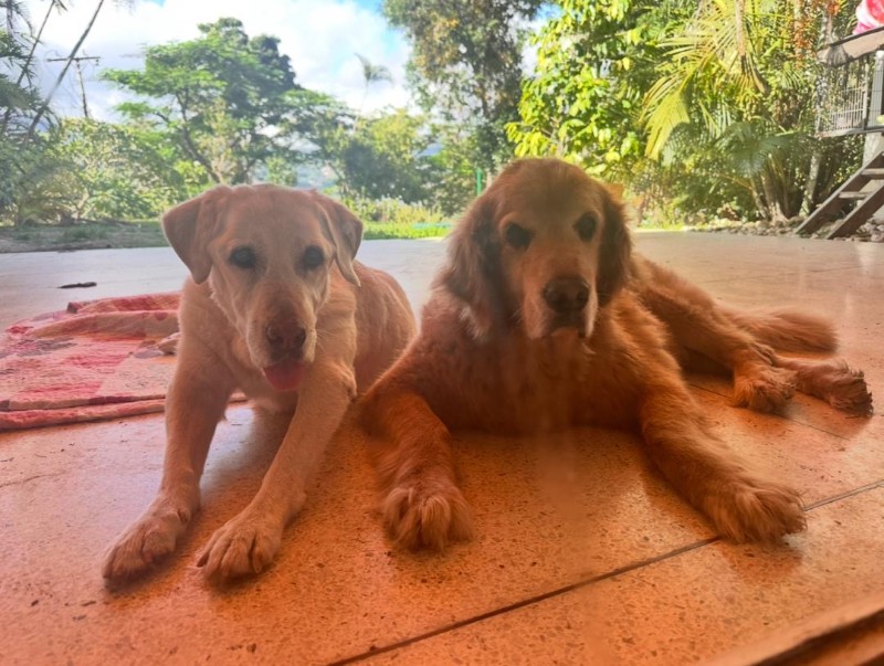 purujit1912 uploaded   272  day/s  ago