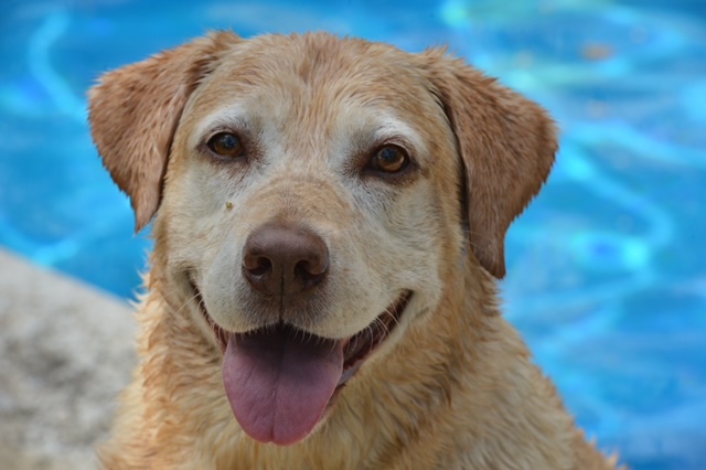 purujit1912 uploaded   2 year/s ago