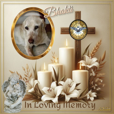 Bhakti of the purujit1912 family