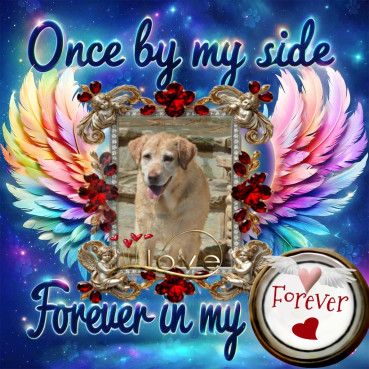 Bhakti of the purujit1912 family