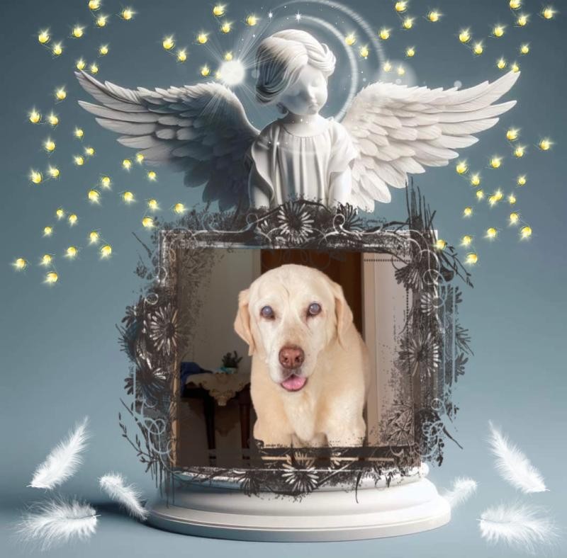 Bhakti of the purujit1912 family