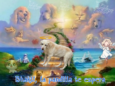 Bhakti of the purujit1912 family