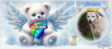 Bhakti of the purujit1912 family