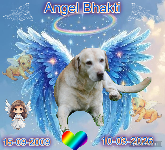 Bhakti of the purujit1912 family