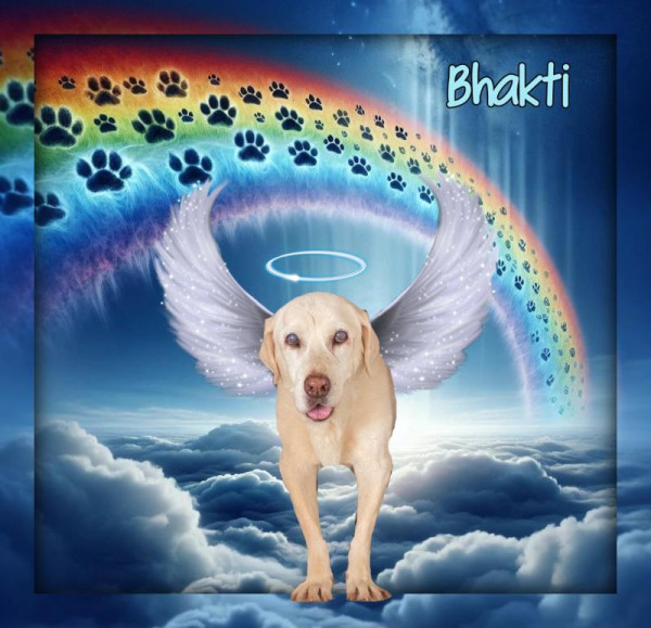 Bhakti of the purujit1912 family