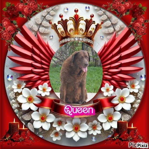 Harinama of the purujit1912 family