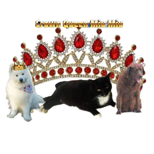 Harinama of the purujit1912 family