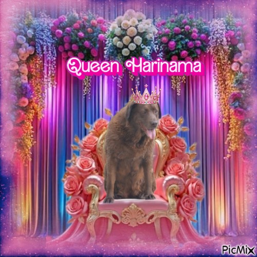 Harinama of the purujit1912 family