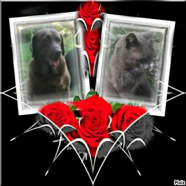 Harinama of the purujit1912 family