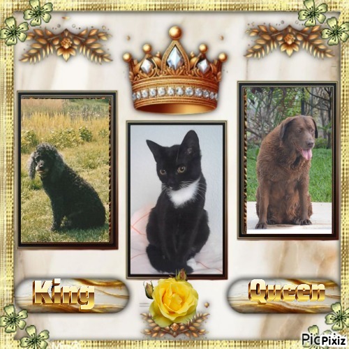 Harinama of the purujit1912 family