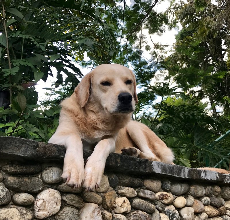 purujit1912 uploaded   4 year/s ago