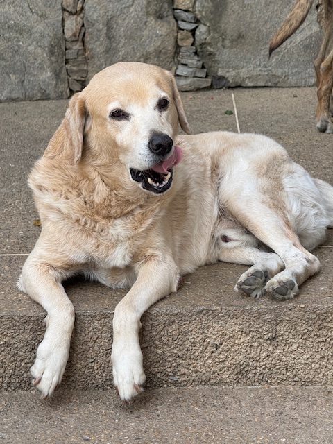 purujit1912 uploaded   1 year/s ago