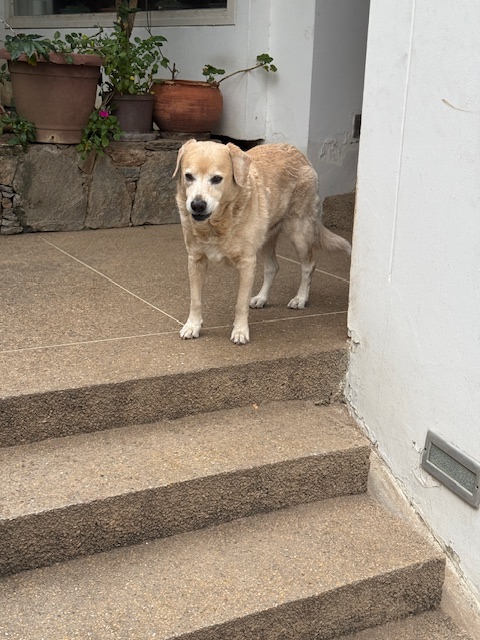 purujit1912 uploaded   1 year/s ago