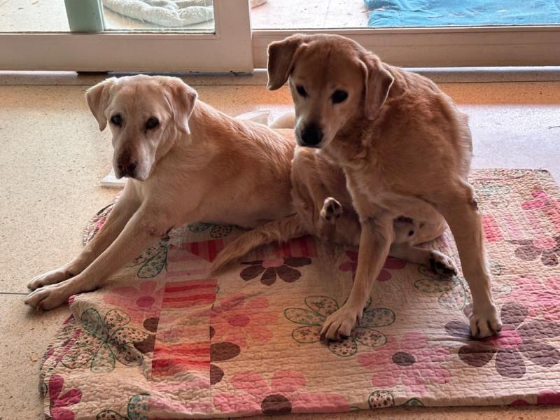 purujit1912 uploaded   211  day/s  ago