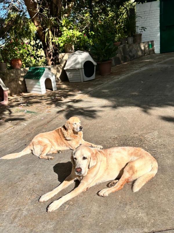 purujit1912 uploaded   211  day/s  ago