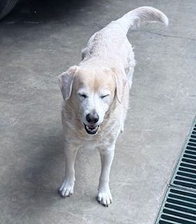 purujit1912 uploaded   160  day/s  ago