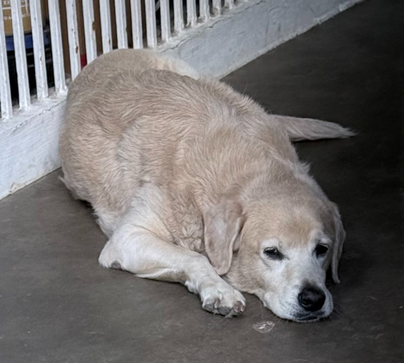 purujit1912 uploaded   152  day/s  ago