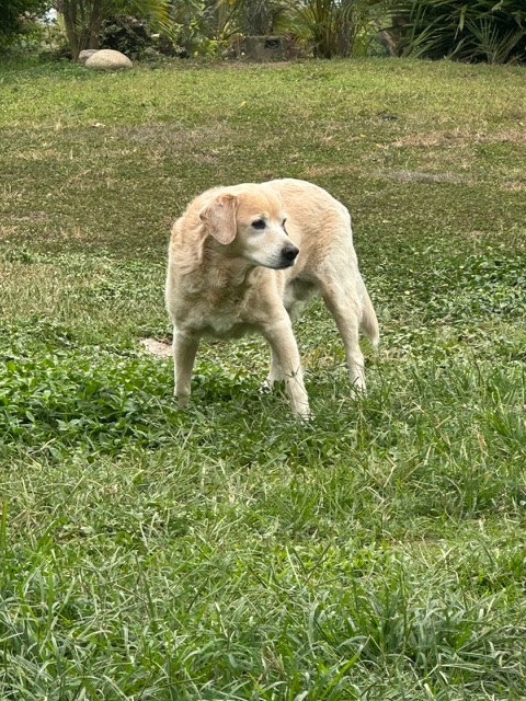 purujit1912 uploaded   92  day/s  ago