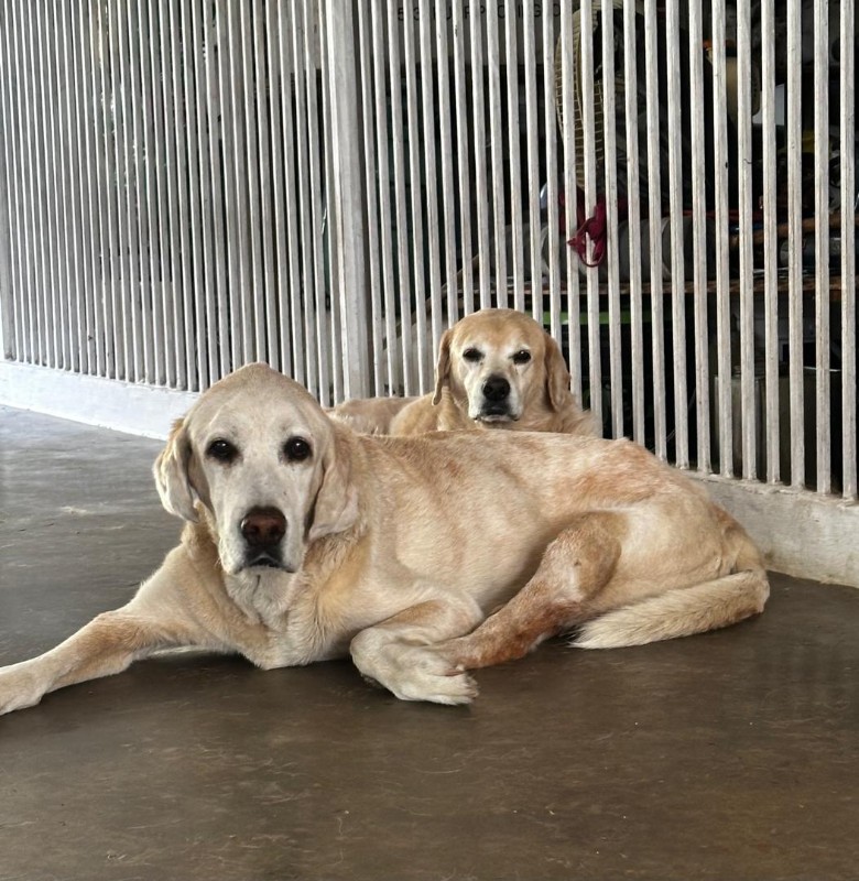 purujit1912 uploaded   2  day/s  ago