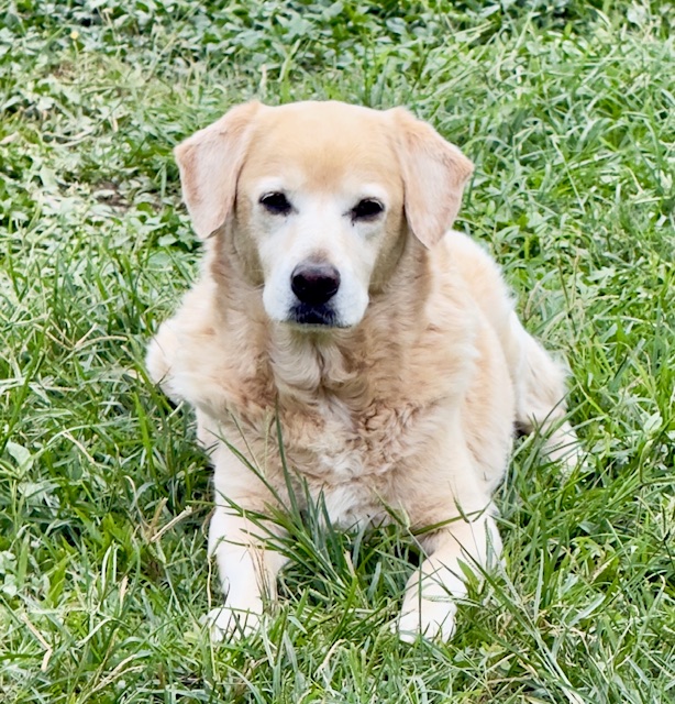 Kamal of the purujit1912 family