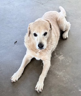 purujit1912 uploaded   152  day/s  ago