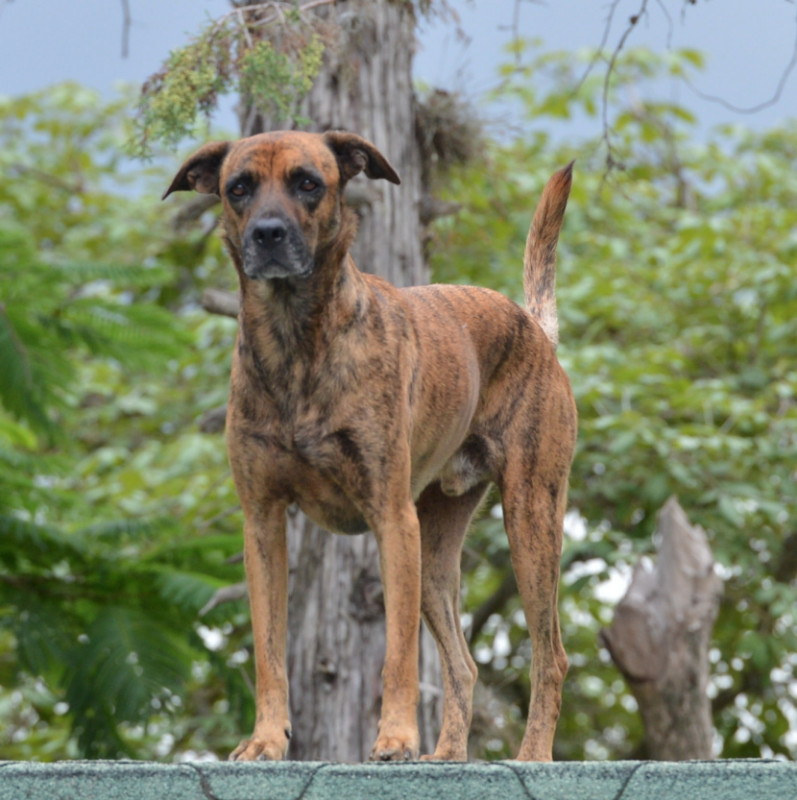 purujit1912 uploaded   6 year/s ago