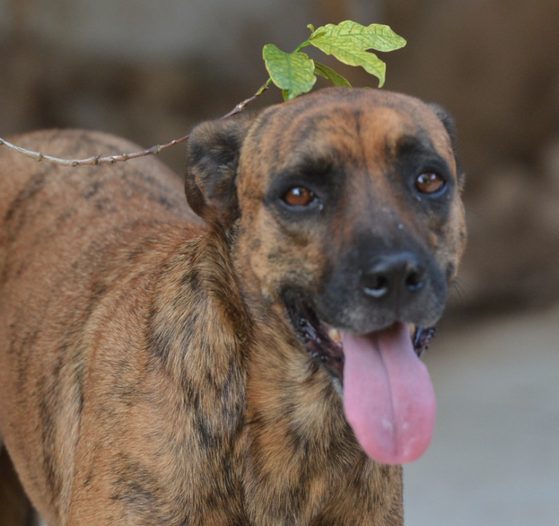 purujit1912 uploaded   6 year/s ago