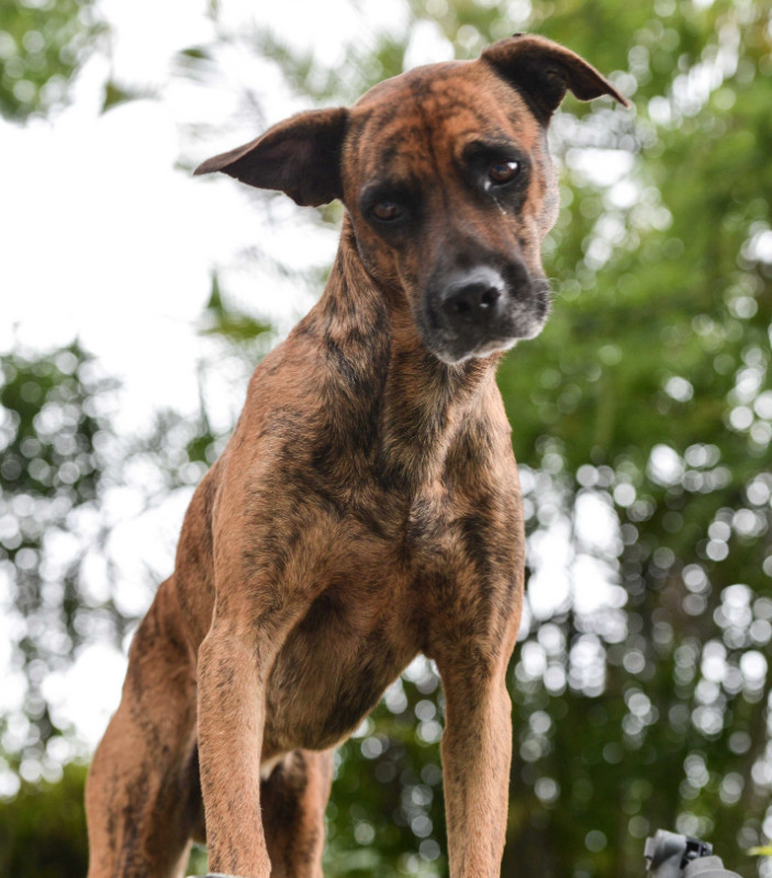 purujit1912 uploaded   6 year/s ago