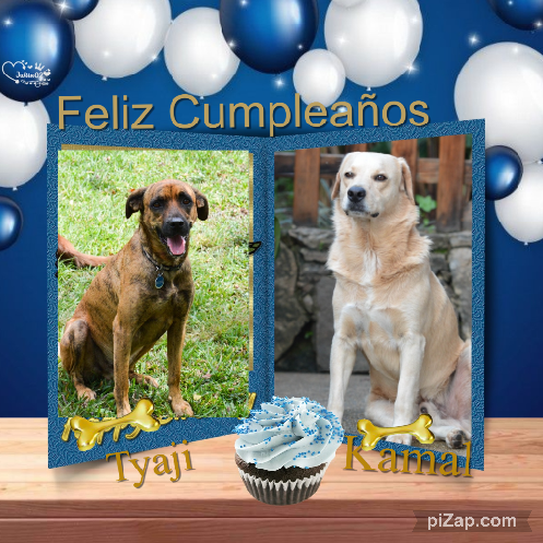 Tyaji of the purujit1912 family