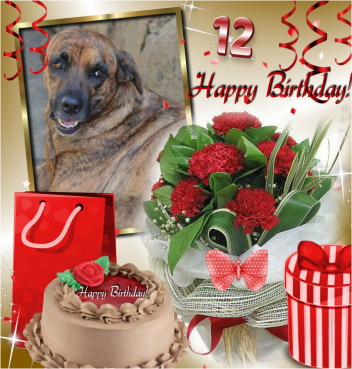 Tyaji of the purujit1912 family