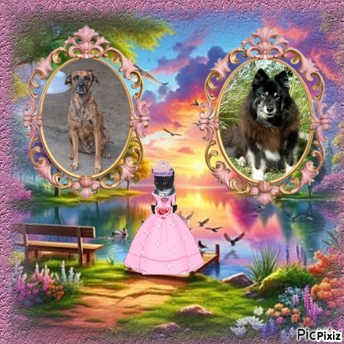 Tyaji of the purujit1912 family