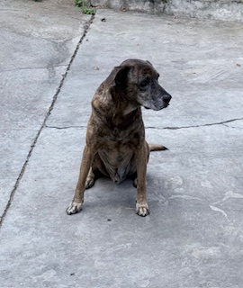 purujit1912 uploaded   160  day/s  ago